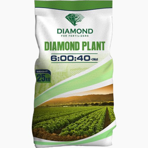 Soluble NPK 6 00 40