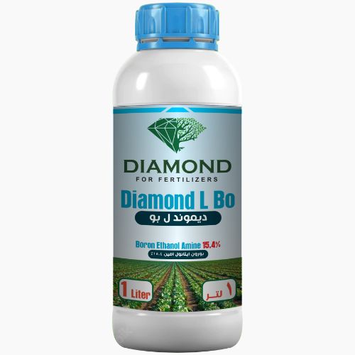 Special Series diamond l bo