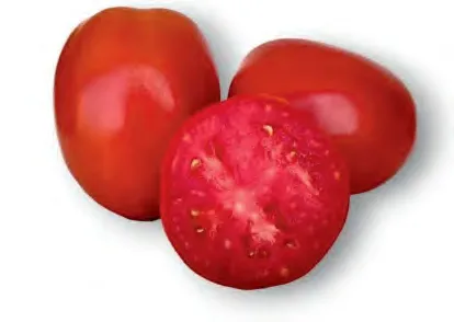 115544 VEER — Tomato Seeds