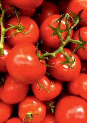 ARIANA — Tomato Seeds