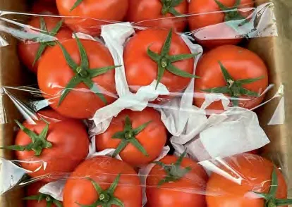 ROWANRA — Tomato Seeds