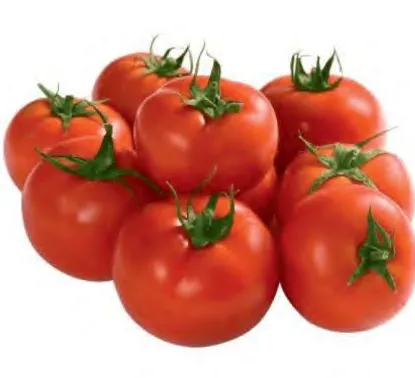 SHERIN — Tomato Seeds
