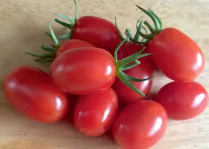 T.C.P 036 F1 — Tomato Seeds