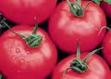 T. PINK GRACE — Tomato Seeds